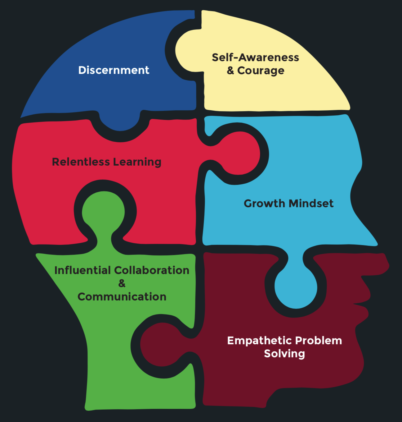 graphic of a human head with puzzle pieces representing the social impact skillsets