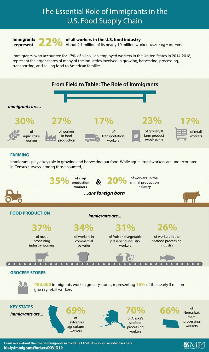 infographic of The Essential Role of Immigrants in the U.S. Food Supply Chain