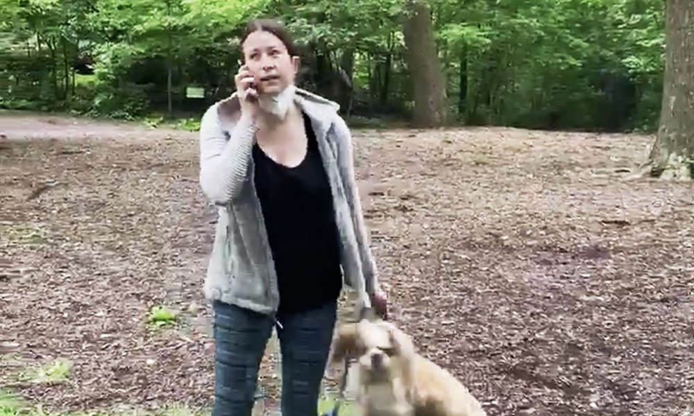 screenshot from video of woman on phone holding dog
