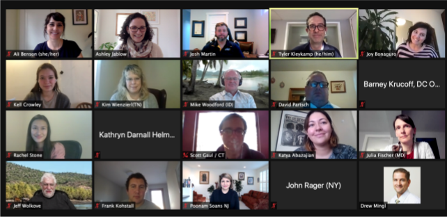 Screenshot of attendees at the State CDO Network Zoom meeting.