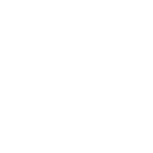 Aspen FSP logo