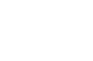 Tech Talent Project logo
