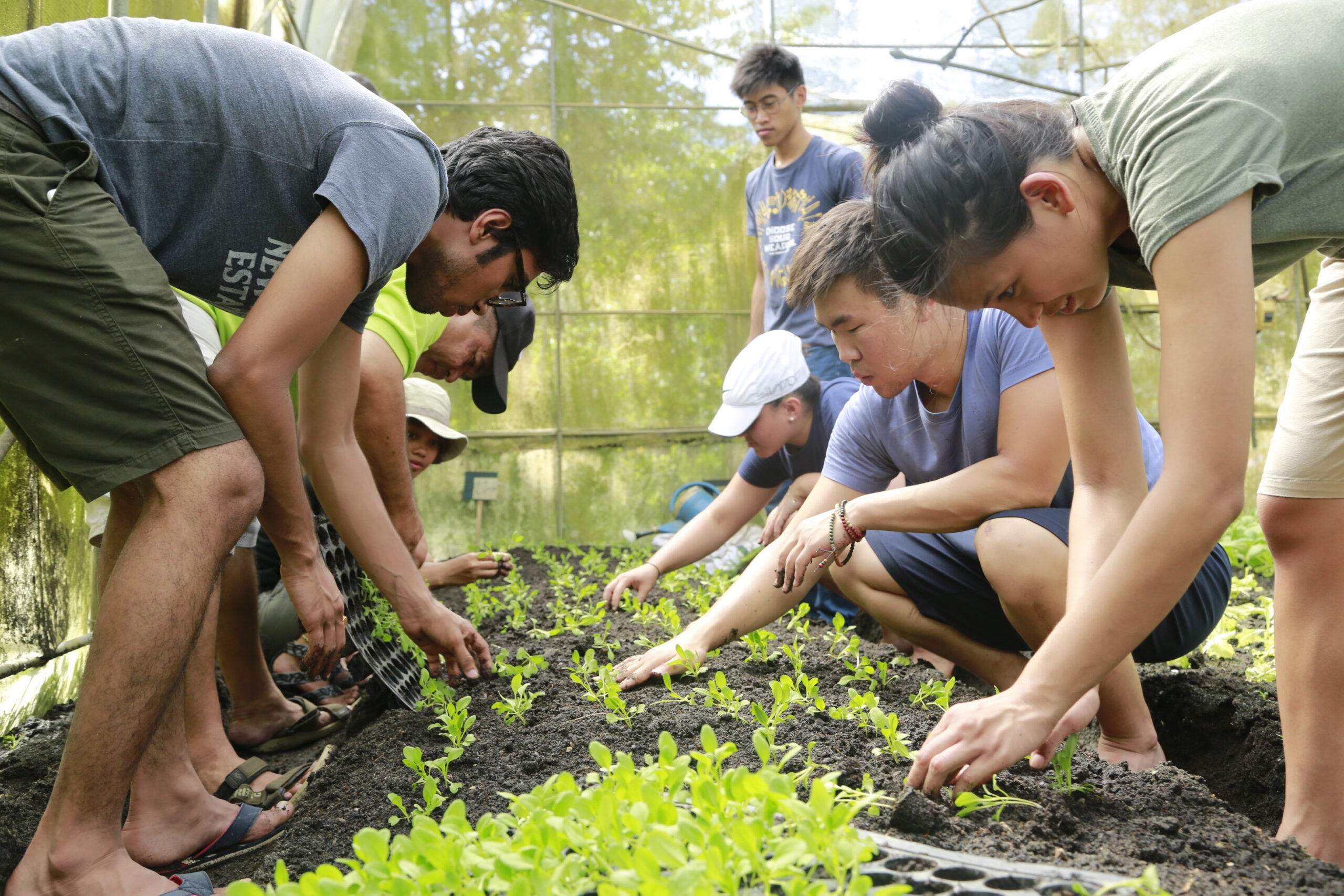 Beeck students planting a garden
